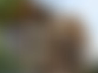 Balcons en fibre de verre sur charpente de bois.