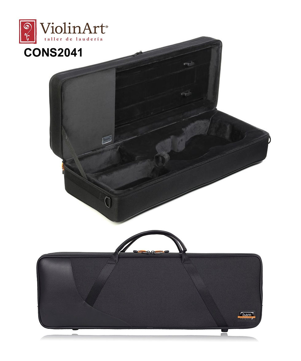 Estuche BAM Conservatory, negro, CONS2041