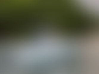 Lake Boat Reef Runner