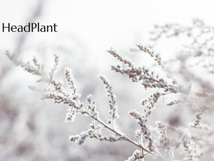 The Ritual of December 