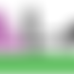 GaL-AA Newsletter – Spring 2018