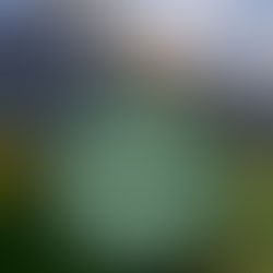 Mountain backdrop with text: NEW YEAR New Day! Event on Jan 1st, 2026, 9:30am PST with Lila R. Includes meeting details and email. Calm scene.