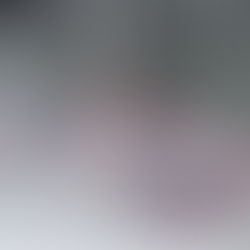 Image of the crown for 2025 Ms. Sobriety World