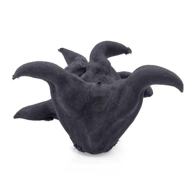 Water Caltrop