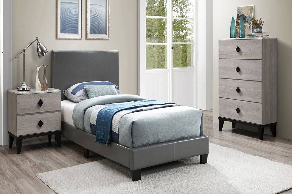 Queen Sleigh Platform Bed