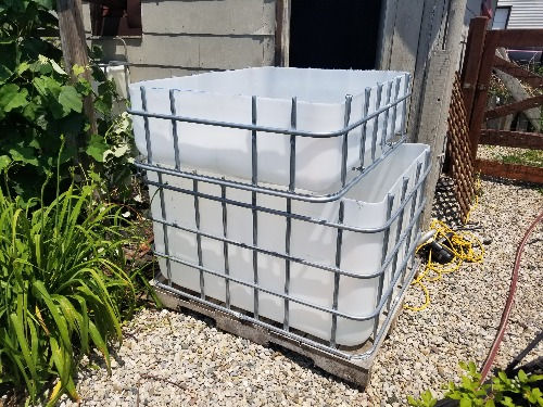 cheap and simple chop & flip ibc aquaponics system