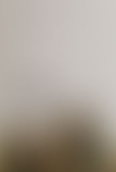 ‘The Other Tom’ (2021)