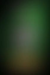 ‘Vulcanizadora’ (2024)