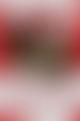 ‘Cabin Tales’ (2023)