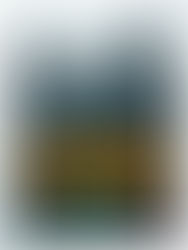 ‘Les Olympiades, Paris 13e’ (2021)