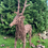 Thumbnail: Natural Vine Reindeer -Medium