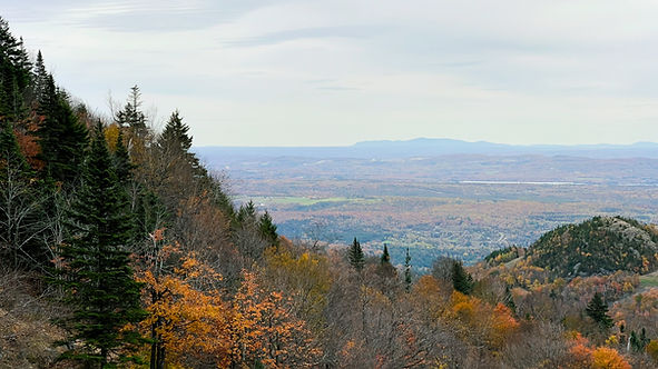 _ORFORD 16X9_ (4 of 5).jpg