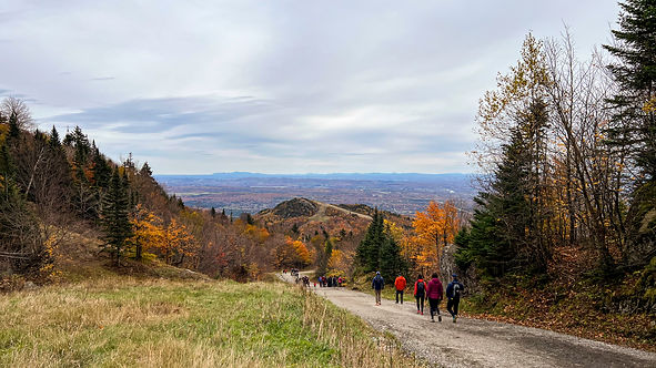 _ORFORD 16X9_ (1 of 5).jpg