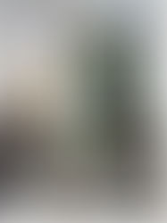 Chicago Home and Garden