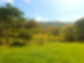 camping en la yeguada