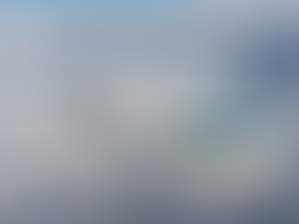 CDB commande 50 Boeing B737 MAXÂ !