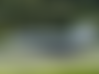 Des Hornet à St. Stephan et à Alpnach !