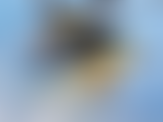 Le Mi-171A3 a achevé ses essais par temps froid !