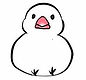 文鳥イラスト2.jpg