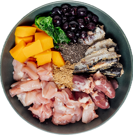 VNG bowl of food