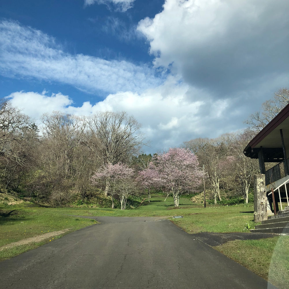 3月のライオンと5月の羊 March Lion And May Sheep