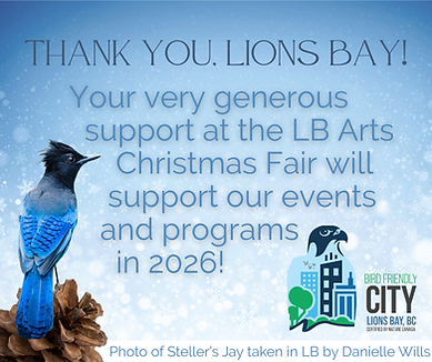 FB post - Christmas Fair 2025 - blue - thank you.png