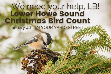 Gallery - Christmas Bird Count 2025.png