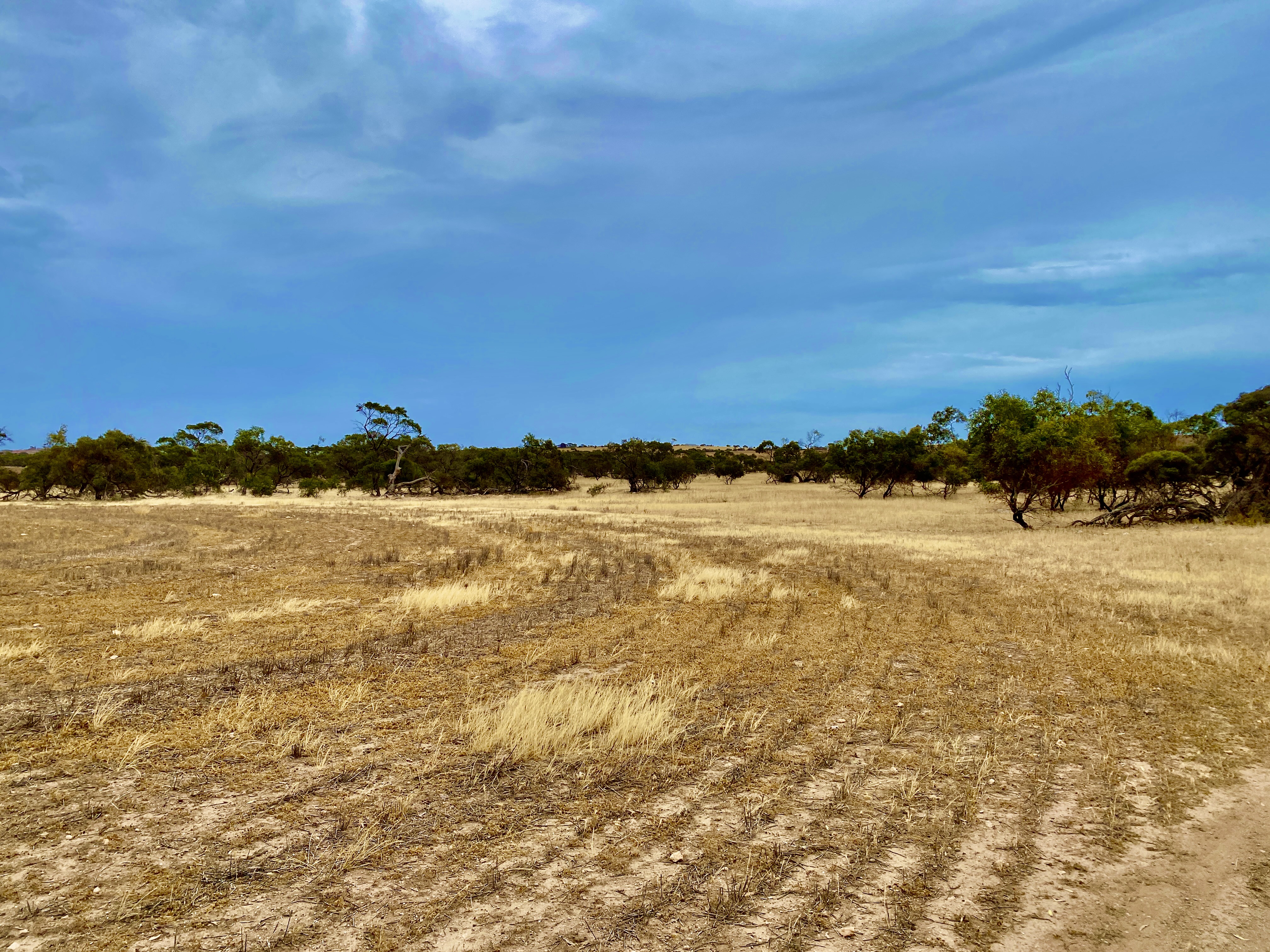 Lots 279-285 Aitchison Rd, Streaky Bay SA, Streaky Bay - Thumbnail 4