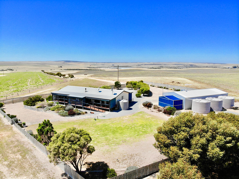 Properties For Sale Streaky Bay Realty