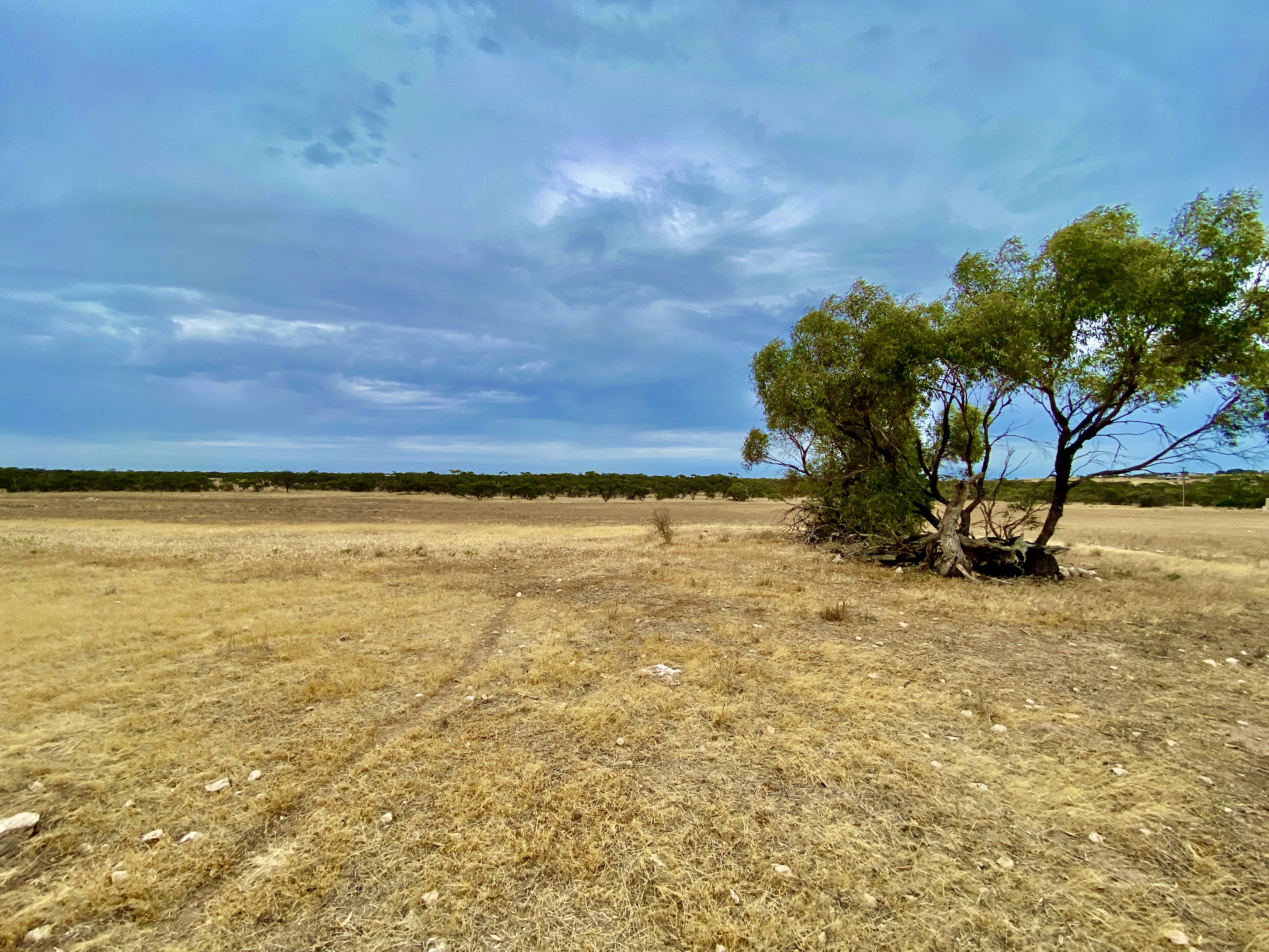 Lots 279-285 Aitchison Rd, Streaky Bay SA, Streaky Bay - Thumbnail 2
