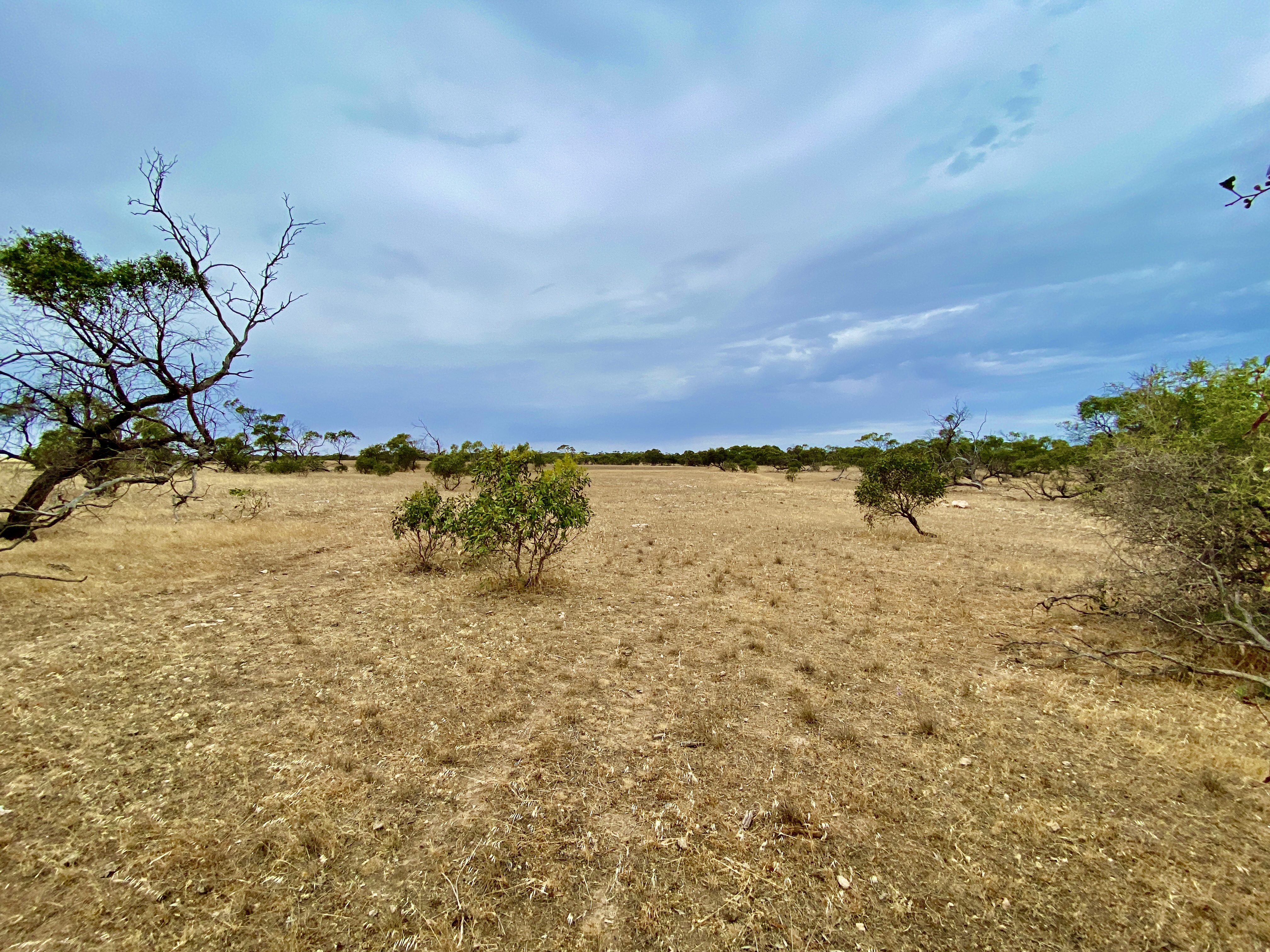 Lots 279-285 Aitchison Rd, Streaky Bay SA, Streaky Bay - Thumbnail 5