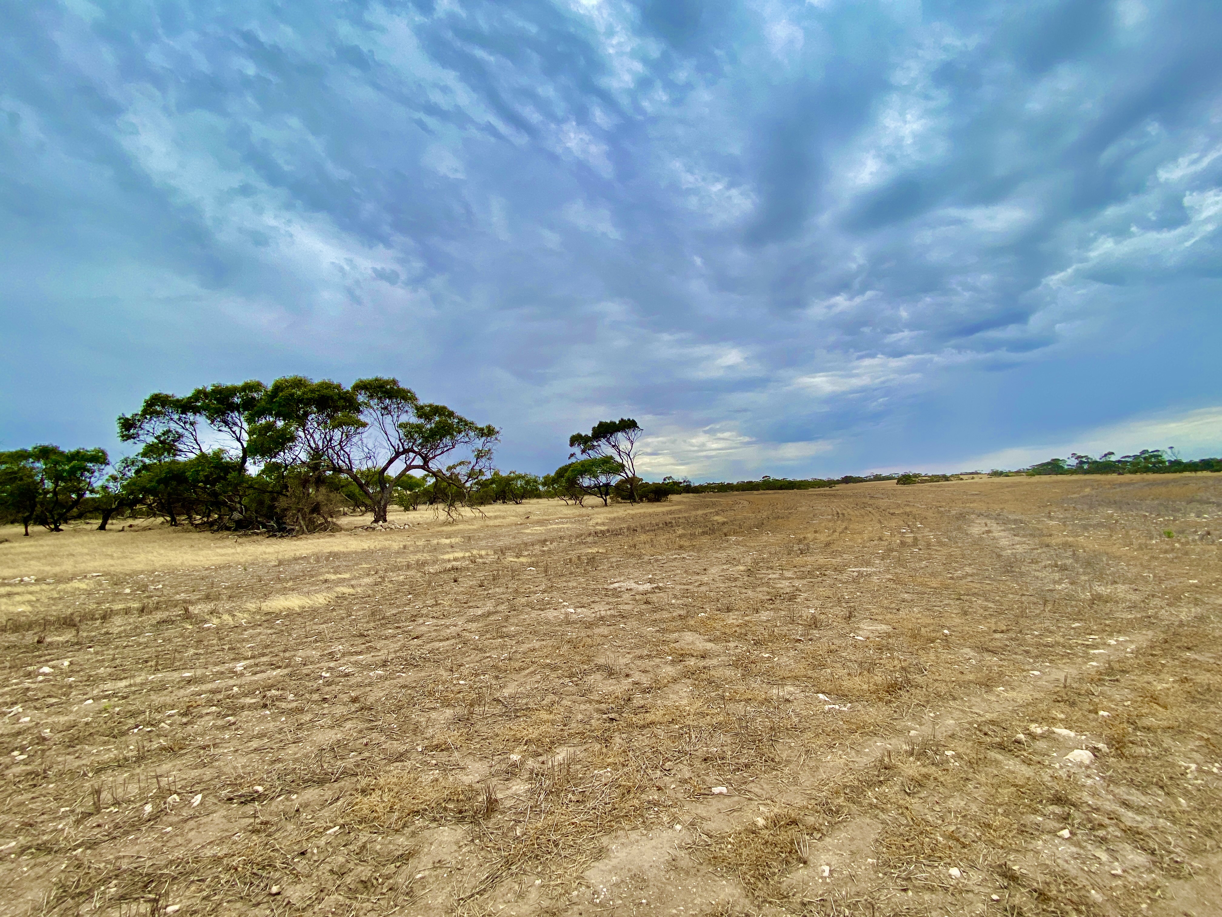 Lots 279-285 Aitchison Rd, Streaky Bay SA, Streaky Bay - Thumbnail 3