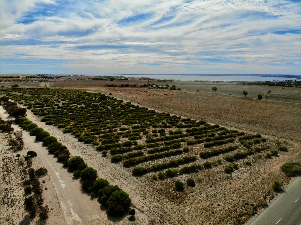 51 Woodlawn Road, Streaky Bay SA, Streaky Bay - Thumbnail 3