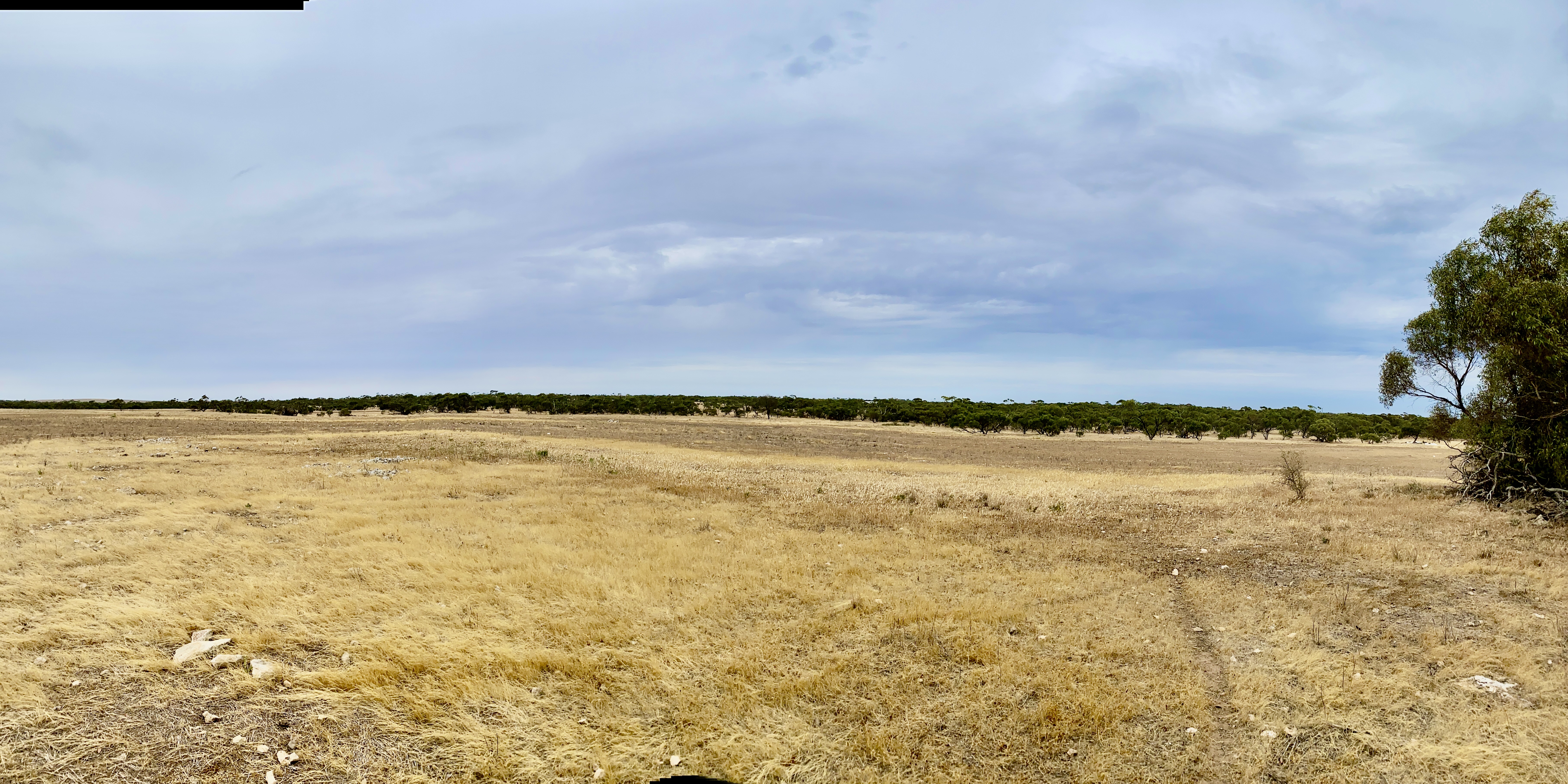 Lots 279-285 Aitchison Rd, Streaky Bay SA, Streaky Bay - Thumbnail 6