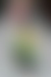 Milan Fashion Week: Gucci's Runway #1