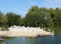 P1180291