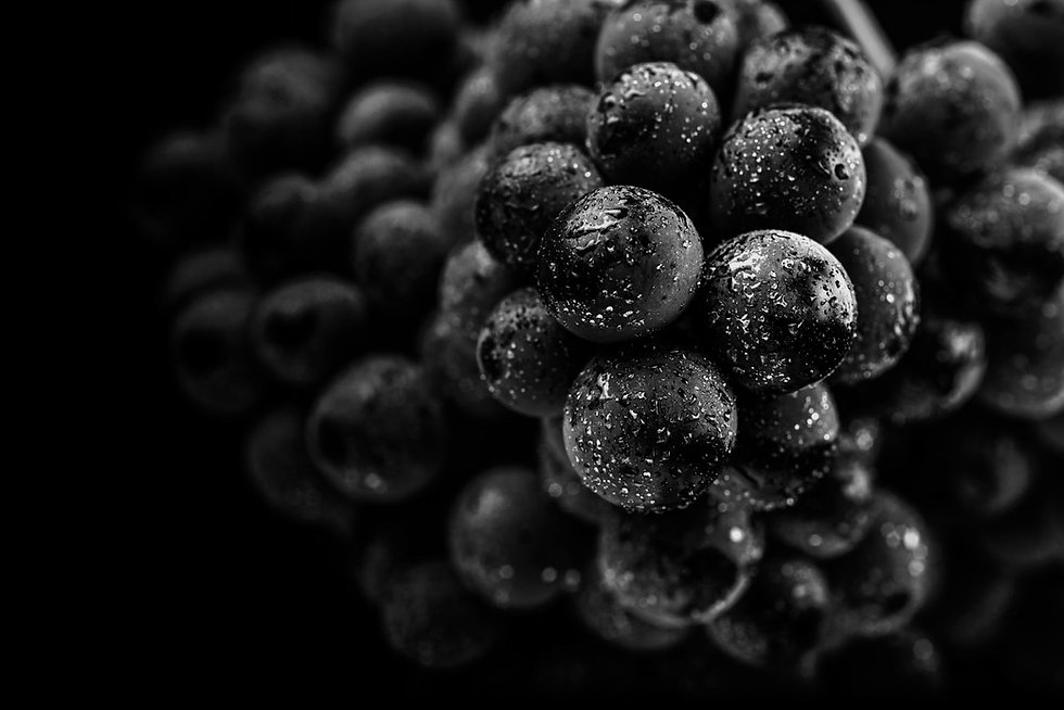 grapes.jpeg