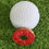 Thumbnail: Individual Putt Savers Ball Markers 