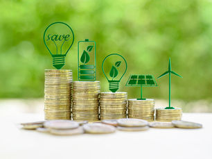 Eco-Investing: Financing Green Businesses