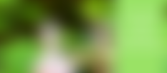 TELEMEDICINE – A NEW HORIZON IN THE REFORM AND PROPAGATION OF AYURVEDA