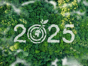Global Summit on Environmental Health and Sustainability 2025: Empowering Women for a Greener Future