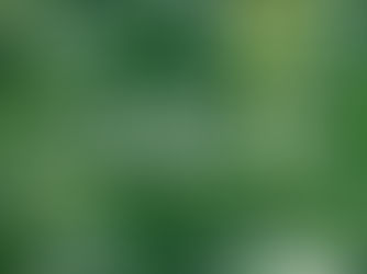 Global Summit on Environmental Health and Sustainability 2025: Empowering Women for a Greener Future