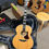 Thumbnail: Eastman AC630BD Acoustic Guitar WITH Hardcase