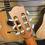 Thumbnail: Alhambra 1OP Nylon String Guitar Made In Spain with gig bag