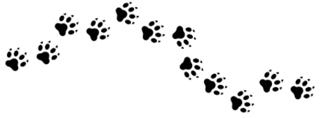 Paw prints trail across the page in a staggered formation.