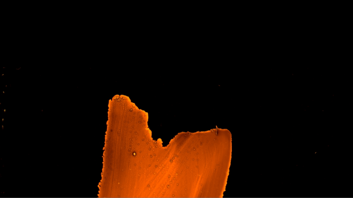 Sawtooth.gif
