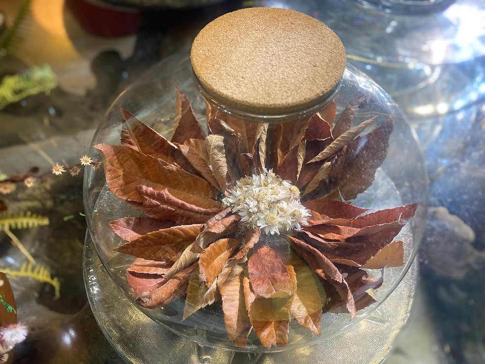 Arranjo de flores preservadas no vidro