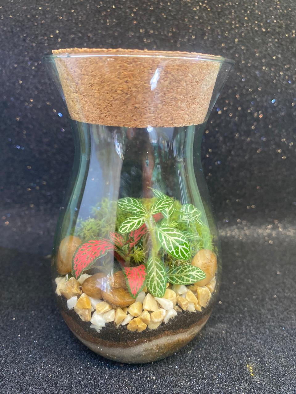 Terrário Gota 12 cm de altura x 7 cm de largura