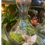 Miniatura: Terrário Aladim 23xm alt x 13 cm larg - CODIGO 01