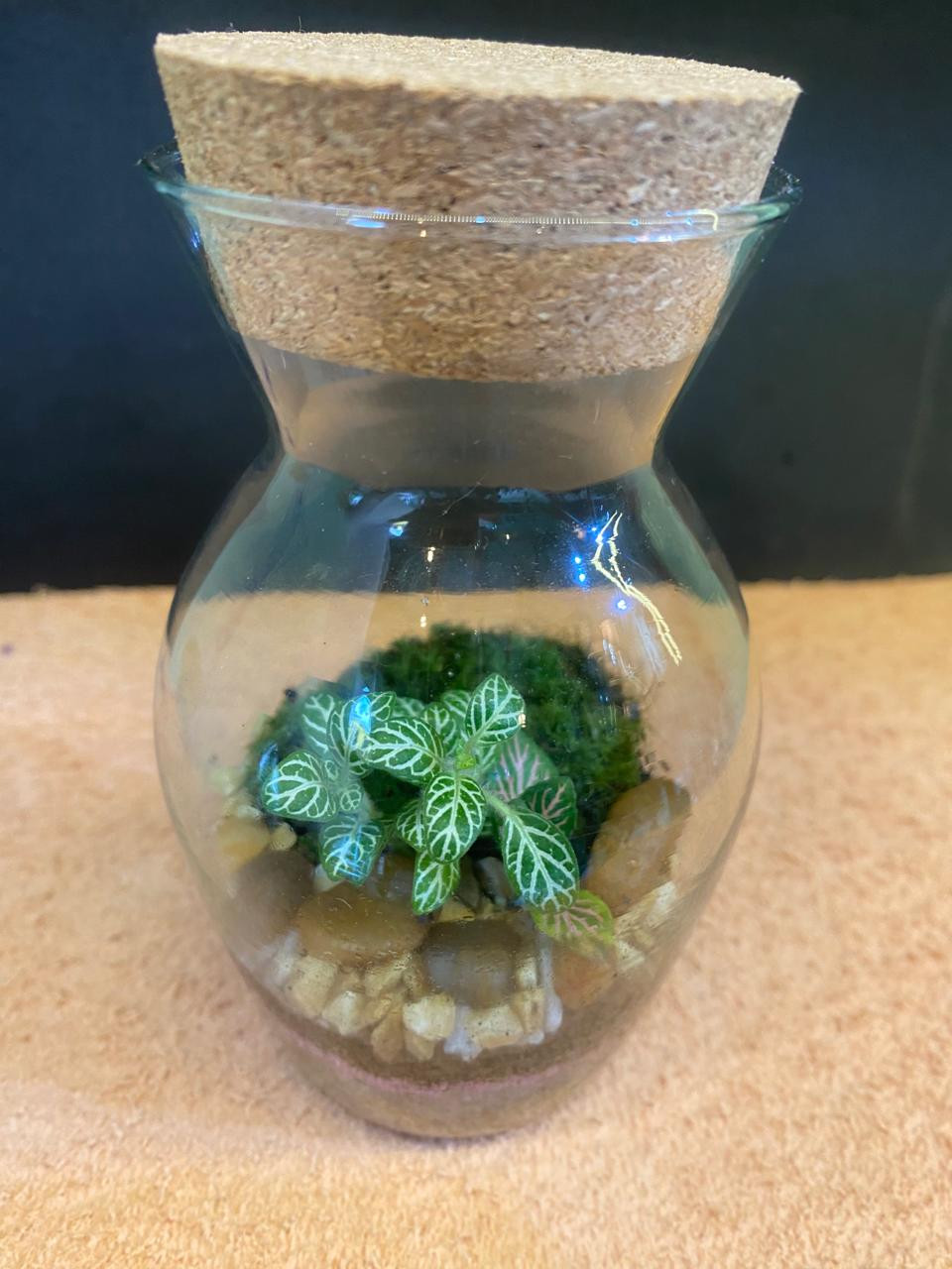 Terrário Mini Bujão 13 cm de altura x 7,5 de largura